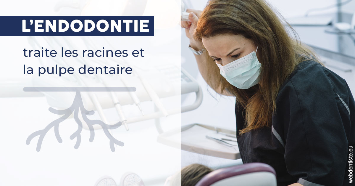 https://dr-madar-fabrice.chirurgiens-dentistes.fr/L'endodontie 1