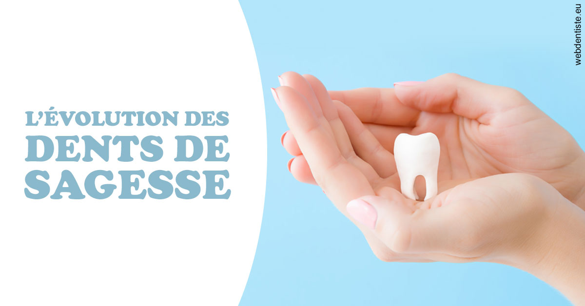 https://dr-madar-fabrice.chirurgiens-dentistes.fr/Evolution dents de sagesse 1