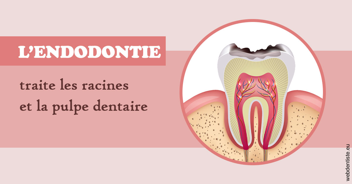 https://dr-madar-fabrice.chirurgiens-dentistes.fr/L'endodontie 2