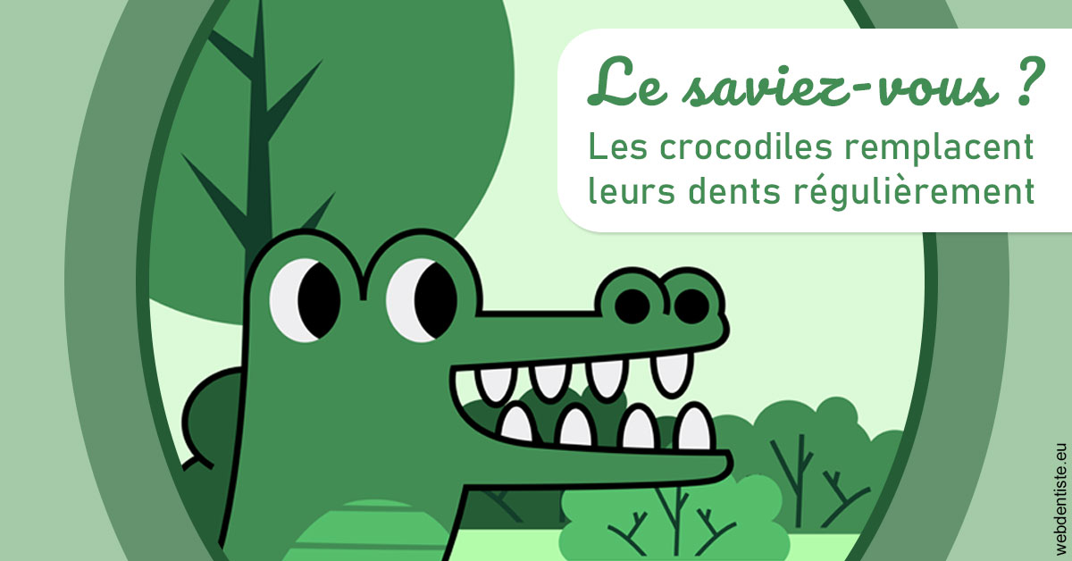 https://dr-madar-fabrice.chirurgiens-dentistes.fr/Crocodiles 2
