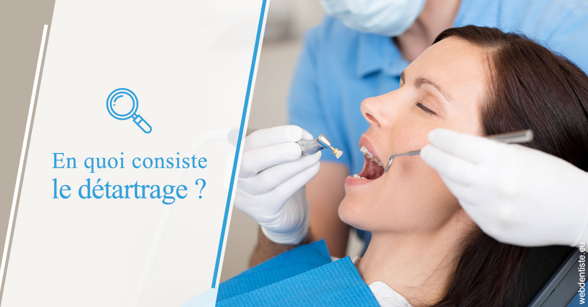 https://dr-madar-fabrice.chirurgiens-dentistes.fr/En quoi consiste le détartrage